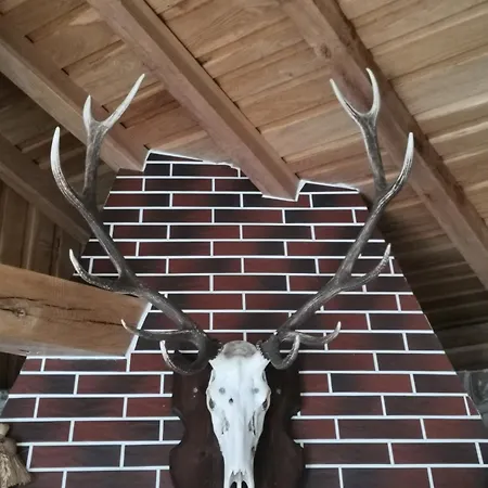 Frühstückspension Affordable With Bbq 5 Min Drive From Lusi 3*