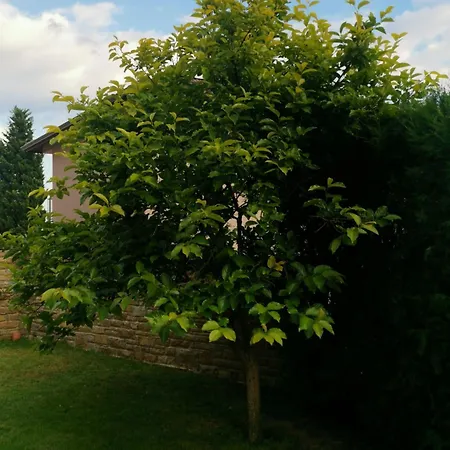 ベッド・アンド・ブレックファスト Affordable With Bbq 5 Min Drive From Lusi