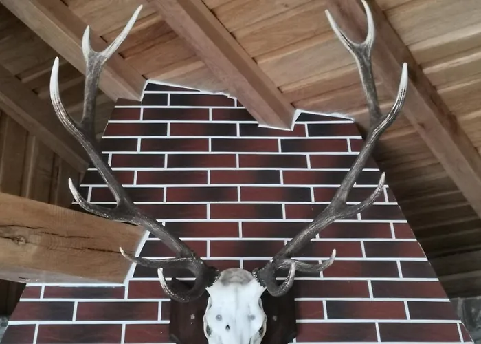 Panzió Affordable With Bbq 5 Min Drive From Lusi 3*