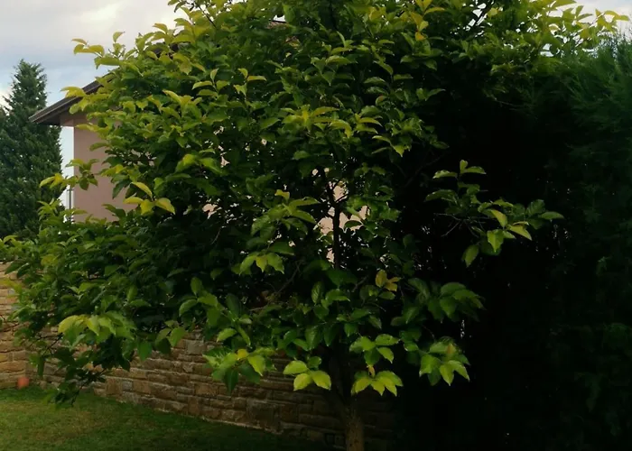 Panzió Affordable With Bbq 5 Min Drive From Lusi